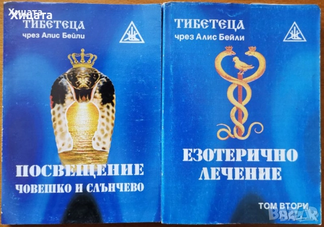 Сал Ракели;Вирджиния Есен;Владимир Мегре;Рудолф Щайнер;Жак Саломе;Тибетеца чрез Алис Бейли;Зор Алеф, снимка 7 - Енциклопедии, справочници - 50796969
