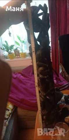 Дърво на живота 