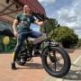 Сгъваем електрически велосипед Eletronbike OD20 – 500W, 48V, до 100 км пробег, снимка 3