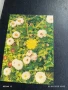 Старо календарче серия ЦВЕТЯ много красиво за КОЛЕКЦИЯ ДЕКОРАЦИЯ 35357, снимка 3