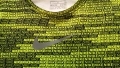 NIKE PRO DRI-FIT Размер 128-137 см / 8-10 години детска блуза 35-51, снимка 5