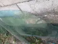Продавам стъкла за врати РЕНО КЛИО, снимка 4