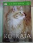 Книга "Всичко за котката - д-р Брус Фогъл" - 288 стр., снимка 1 - Специализирана литература - 42499977