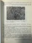 Морфологична диагностика на стоматологичните заболявания Славчо Давидов, Кирил Попов, снимка 3