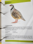 Декоративни птици - Немски стандарт (официален), цветен, над 300 вида описани, критерии за оценка..., снимка 6