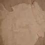 Голяма агнешка кожа, снимка 5