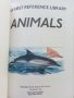 Детска енциклопедия "Animals -my first reference library" - 1994г., снимка 3