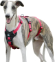 Paworld Escape регулируем нагръдник за големи кучета (розово червено, зелено сиво XL)