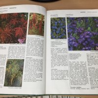 Енциклопедия A-Z of Annuals, Biennials & Bulbs (Successful Gardening), снимка 2 - Енциклопедии, справочници - 30873162