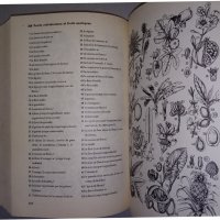 Френски картинен речник Duden Francais dictionnaire en images, снимка 5 - Чуждоезиково обучение, речници - 38245075