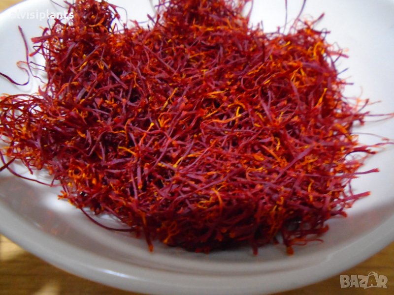 Шафран близалца /стигми/ 0.5 грама първокласен натурален продукт, снимка 1