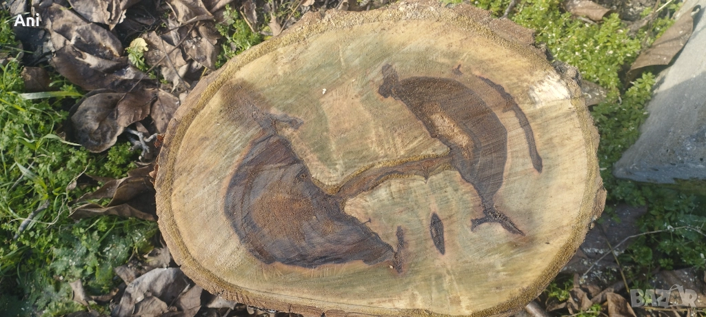 Шайби суров орех, снимка 1