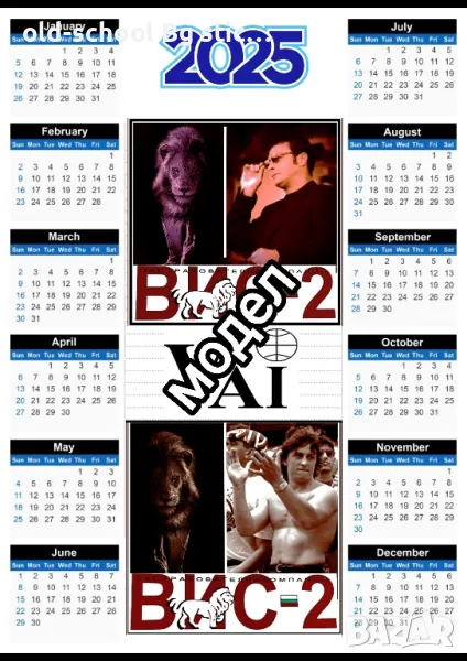 Календари 2025 {ВИС-2/СИК}, снимка 1