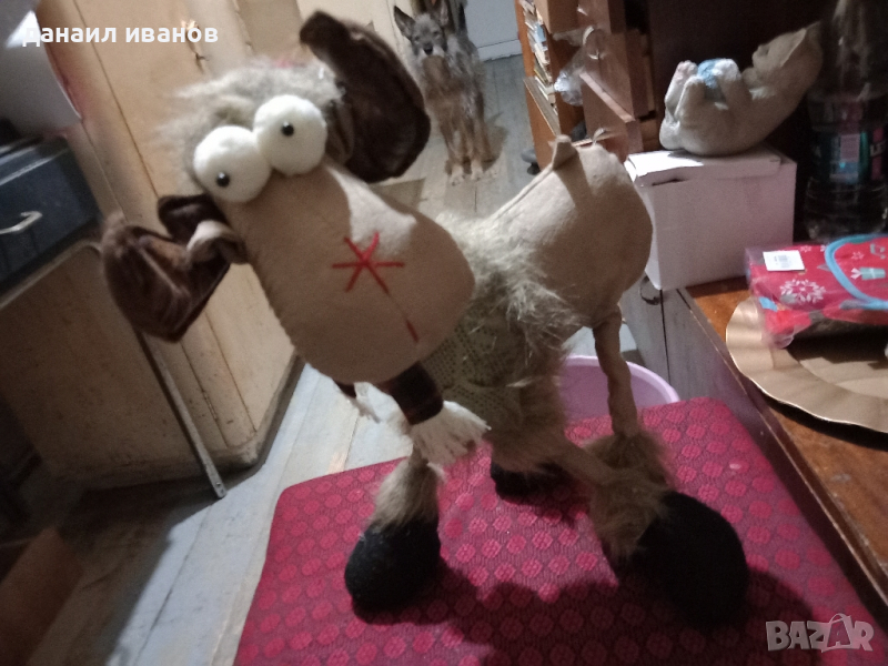 коледен лос, снимка 1