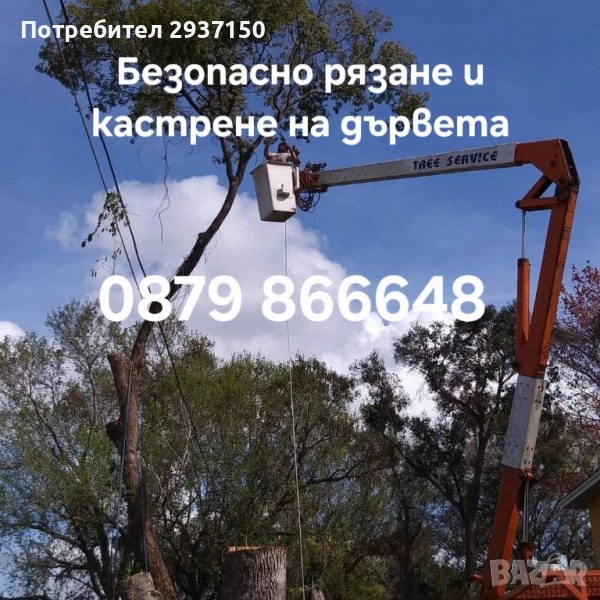 Рязане и кастрене на опасни дървета с автовишка, снимка 1