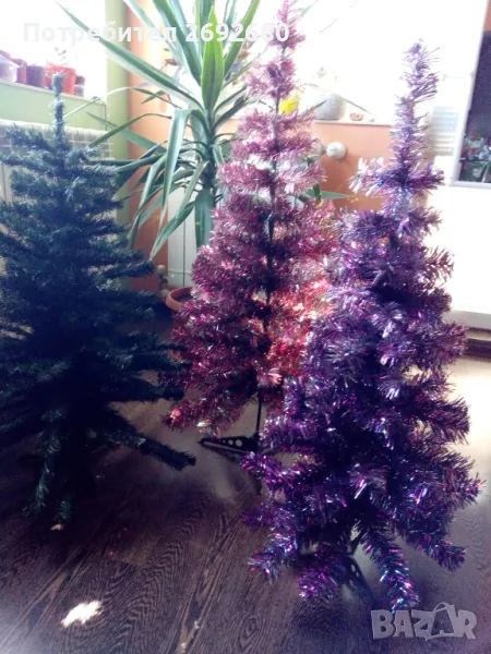 Елхи 90-115см., снимка 1