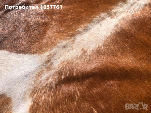 Телешка кожа , снимка 9 - Декорация за дома - 52242930