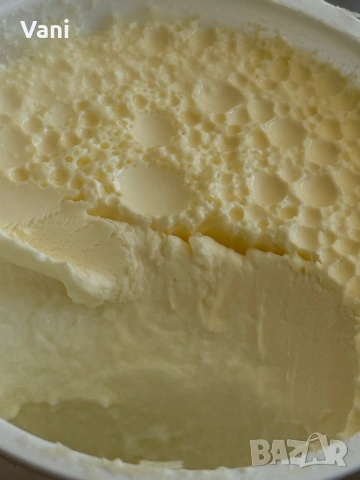 Джарсе-Жарсе- юници -датски Чостокръвни , снимка 2 - Крави - 54025814