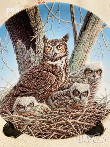 порцеланова чиния за стена , снимка 3 - Декорация за дома - 53884256