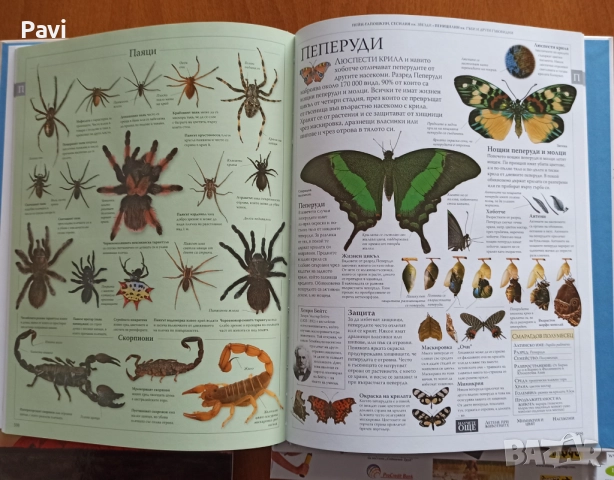 Илюстрована семейна енциклопедия 16 тома, снимка 5 - Енциклопедии, справочници - 52189886