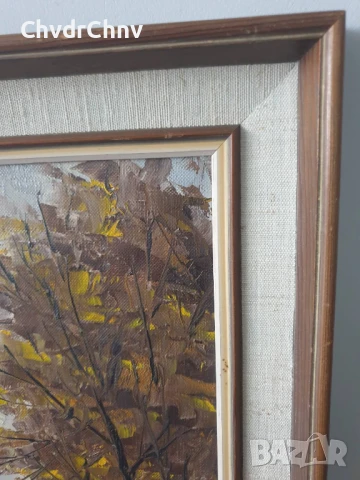 53х45см/малка стара картина масло върху платно/градски пейзаж/малка улица-къщи/дървена рамка, снимка 7 - Картини - 51192912