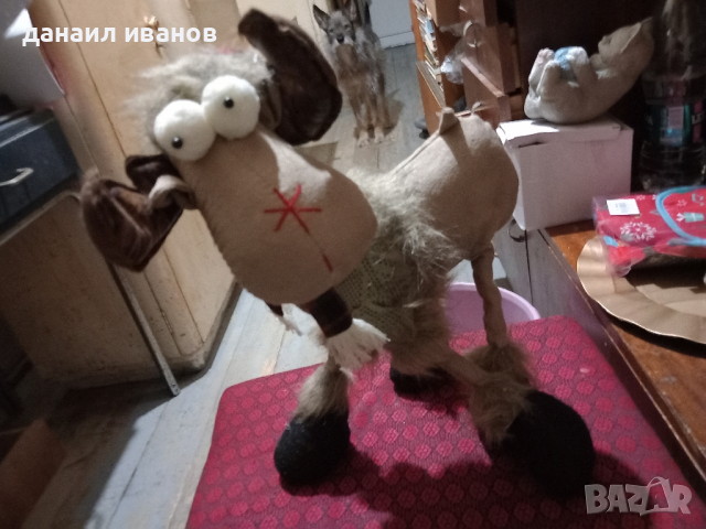 коледен лос, снимка 1