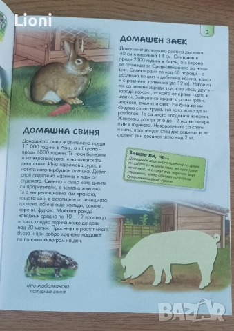 Книжки +флумастери, снимка 6 - Детски книжки - 51515960