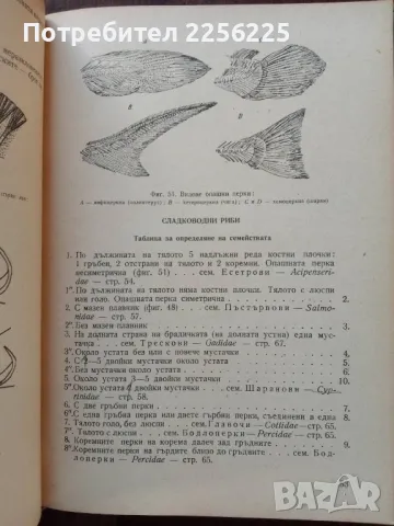Ръководство за практически занятия по зоология на гръбначните животни, снимка 2 - Специализирана литература - 50440615