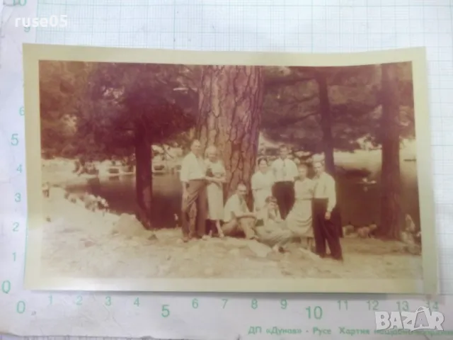 Снимка стара на група при излет пред дървото