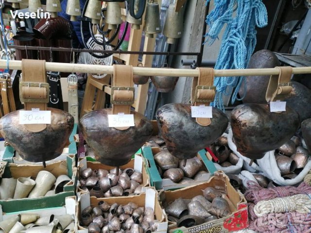 Хлопки със колани и без колани (ново) размера се определя в сантиметри  от най малката до нахлопка., снимка 4 - Крави - 37797542