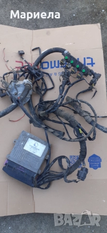 Газова уредба ланди ренцо