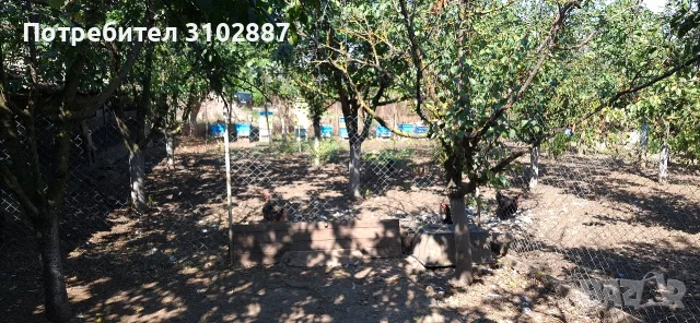 Вила новите лозя, снимка 13 - Вили - 56541865