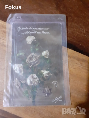 Стара пощенска картичка N 15