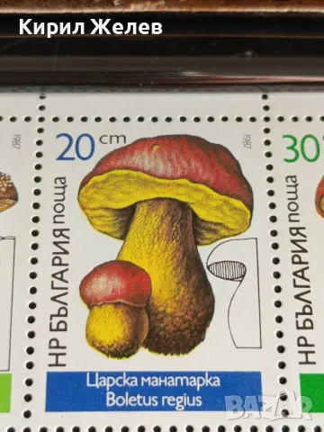 Пощенски марки чиста комплектна серия ГЪБИ поща НРБЪЛГАРИЯ за КОЛЕКЦИОНЕРИ 46344, снимка 3 - Филателия - 47769885