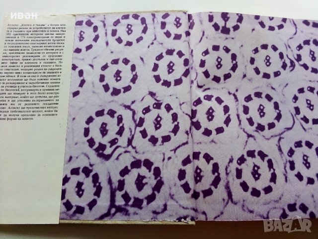 Атлас клетка и тъкани - Е.Чакъров,Ч.Начев - 1993г., снимка 2 - Енциклопедии, справочници - 39907688