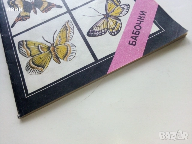 Они должны жить - Бабочки - Н.И.Кочетова - 1990г., снимка 11 - Енциклопедии, справочници - 53111027