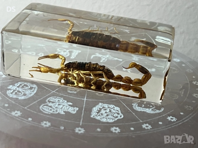Сувенир скорпион 