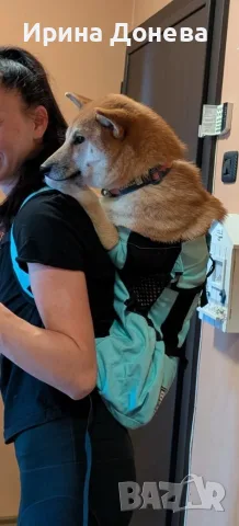 Раница за носене на куче K9 Sport Sack Dog Carrying Backpack , снимка 2 - За кучета - 55823220