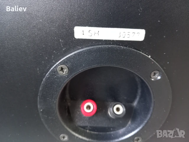 QUADRAL SHOGUN MK4 трилентови тонколони , снимка 17 - Тонколони - 51266534