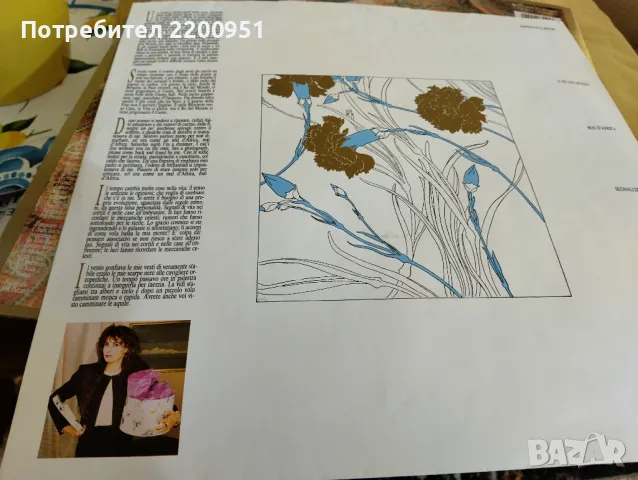 ALICE, снимка 9 - Грамофонни плочи - 49759243