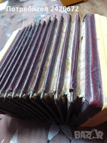 акордеон-хармоника   БАЯН, снимка 5 - Акордеони - 48799795