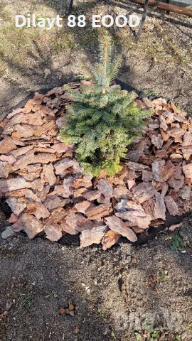 Мулч дебели големи борови кори, снимка 4 - Тор и почвени смеси - 48772166
