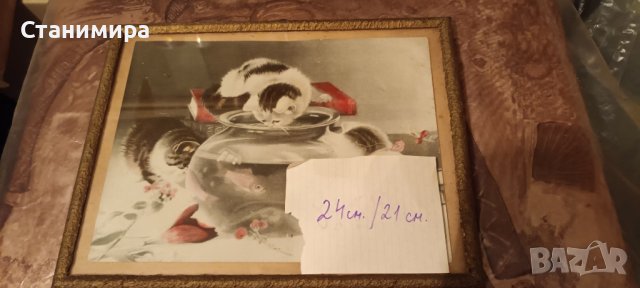 рамки за картини със стъкло, снимка 5 - Картини - 36677980