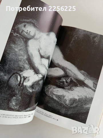 Дневникът на Йожен Дьолакроа, снимка 3 - Художествена литература - 52726224