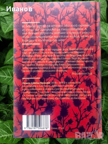 Топ Цена - 10€. Нова книга “ Брулени хълмове”, снимка 2 - Художествена литература - 52909913