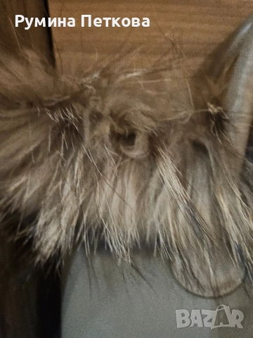 Естествена кожа - аксесоар Obag, снимка 5 - Чанти - 52379231