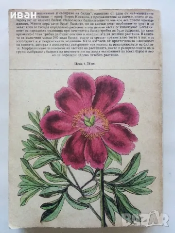 Разпознаване и събиране на билки - Борис Китанов - 1987г., снимка 7 - Енциклопедии, справочници - 48175404