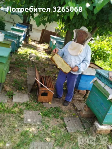 продавам пчелен мед, снимка 3 - За пчели - 56345469