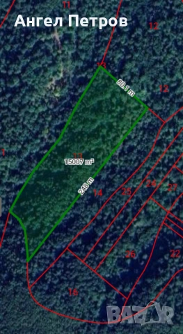 Гора село Долна Бела Речка, общ. Вършец, снимка 2 - Земеделска земя - 54078046