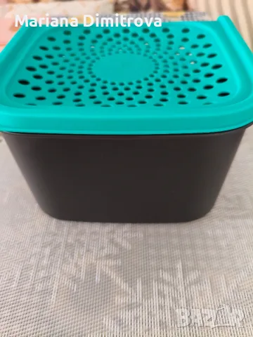 Кутия за чесан и лук Tupperware, снимка 5 - Кутии за съхранение - 55884026